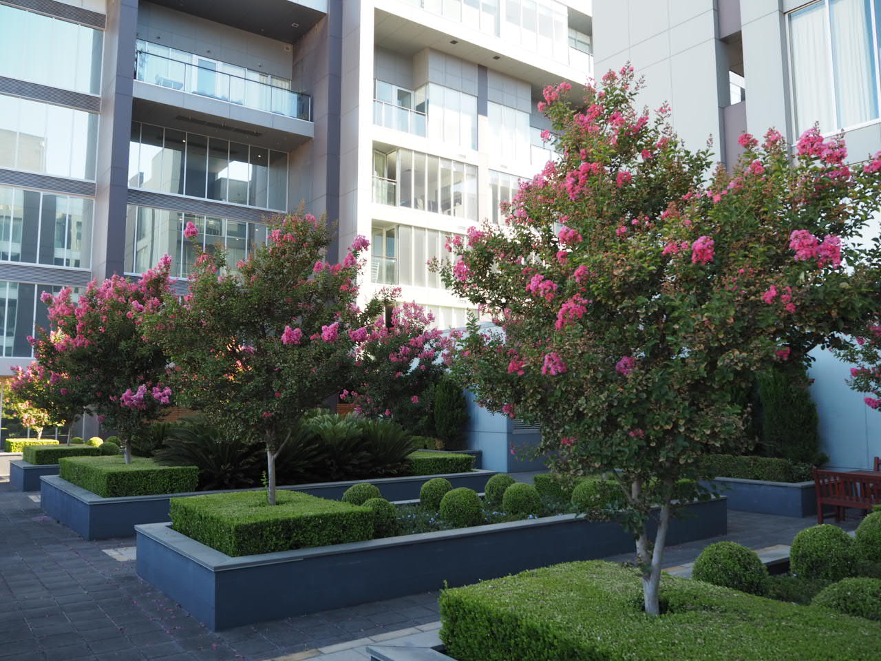  Photograph of Garden East