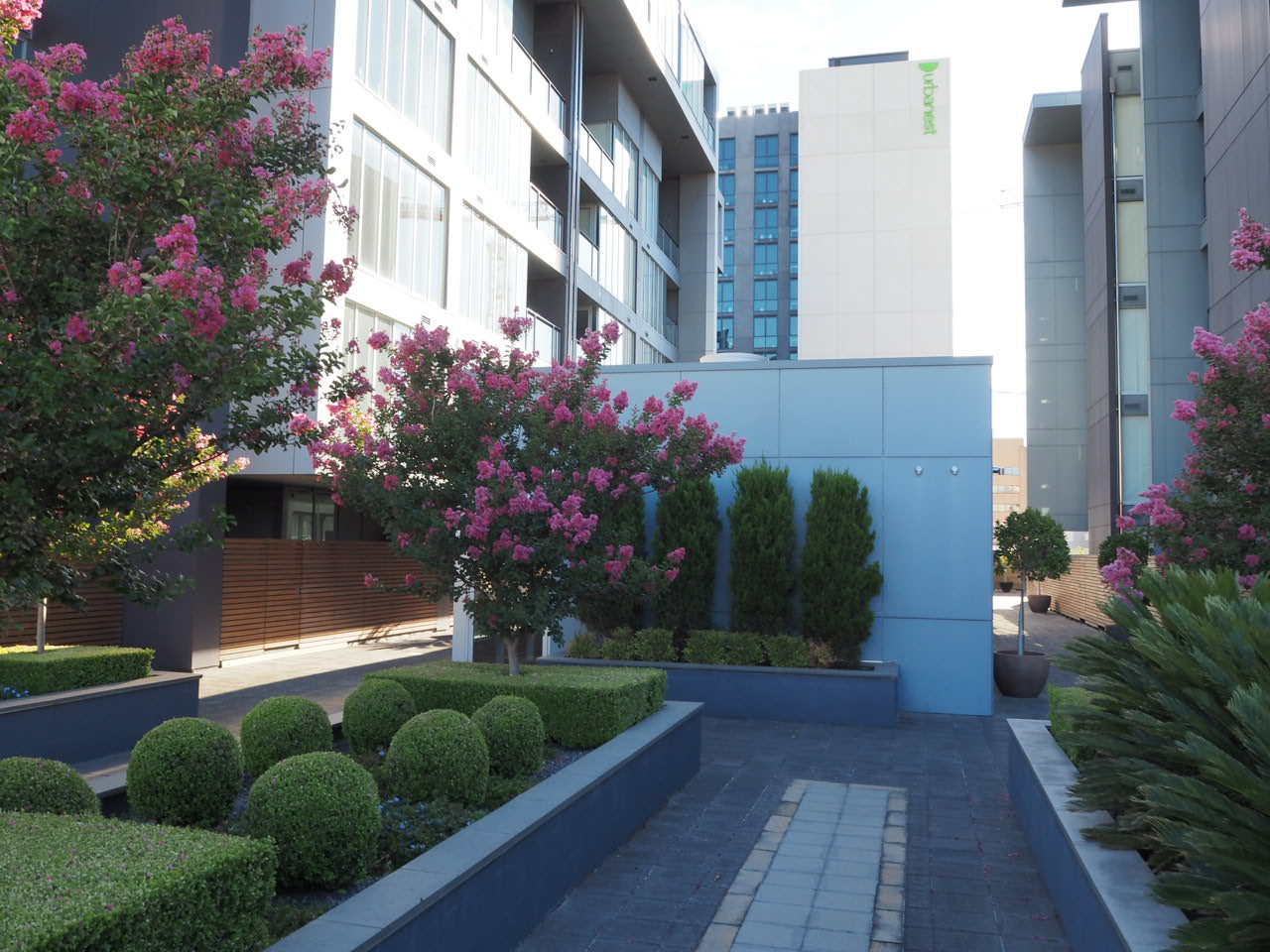  Photograph of Garden Pool-Side